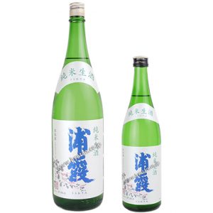 浦霞　純米　生酒